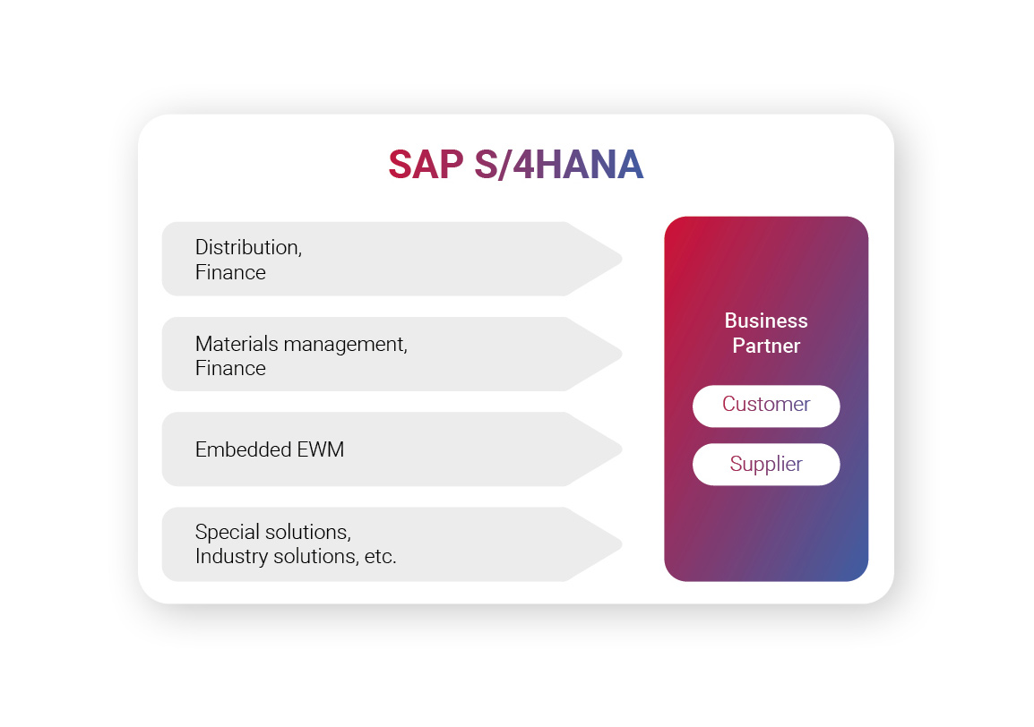 Customer Vendor Integration SAP HANA